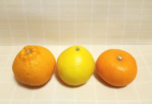 不知火、はるみ、せとか3種15キロ 3月30日 「せとか」「はるみ」「はるか」…春みかんの美味しい